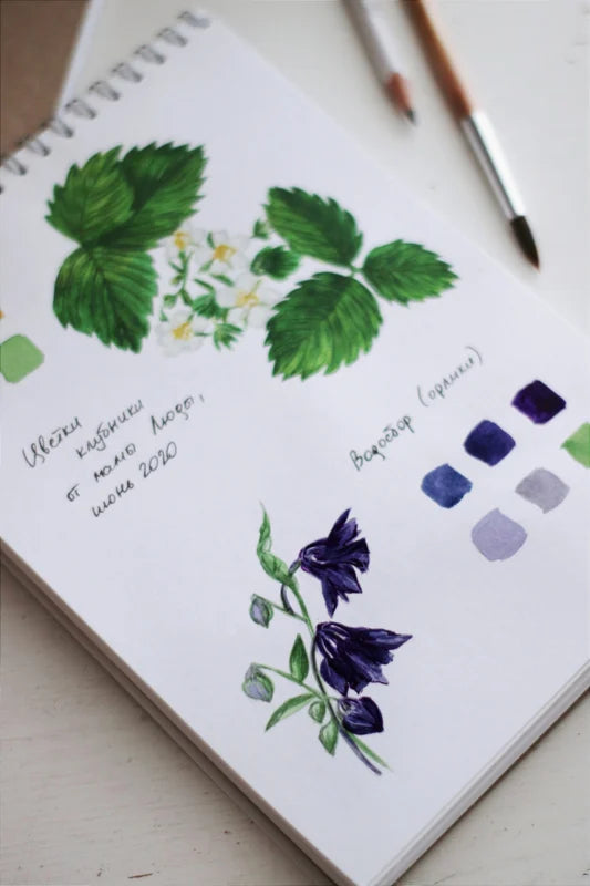 Staedtler Aquarellfarben-Set 12 Tuben
