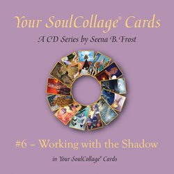 Working with the shadow (Dutch)