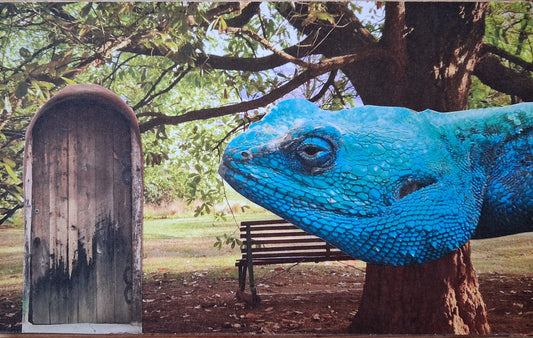 Wat is jouw dier? Ontdek je metgezellen in SoulCollage®