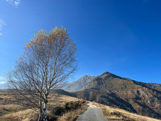 Verschiedene Hintergrundbilder
