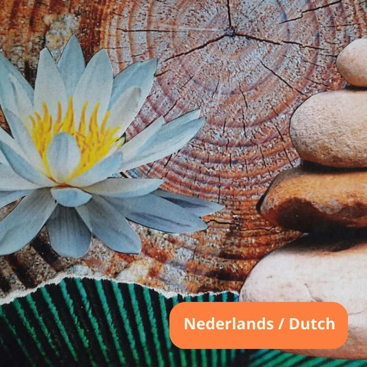 Uitgebreide online SoulCollage® workshop