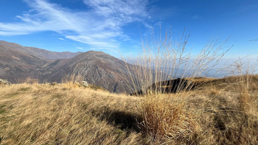 Soulcollage afbeeldingen achtergronden