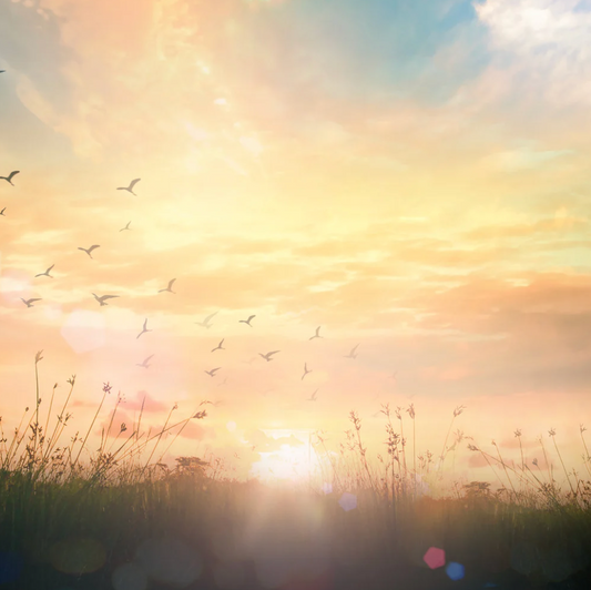 Start living the life you want