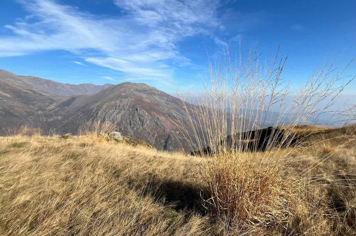 Berglandschaft mit Gras und offenem Horizont als Collagebild mit der Bedeutung von Raum, Freiheit und Orientierung