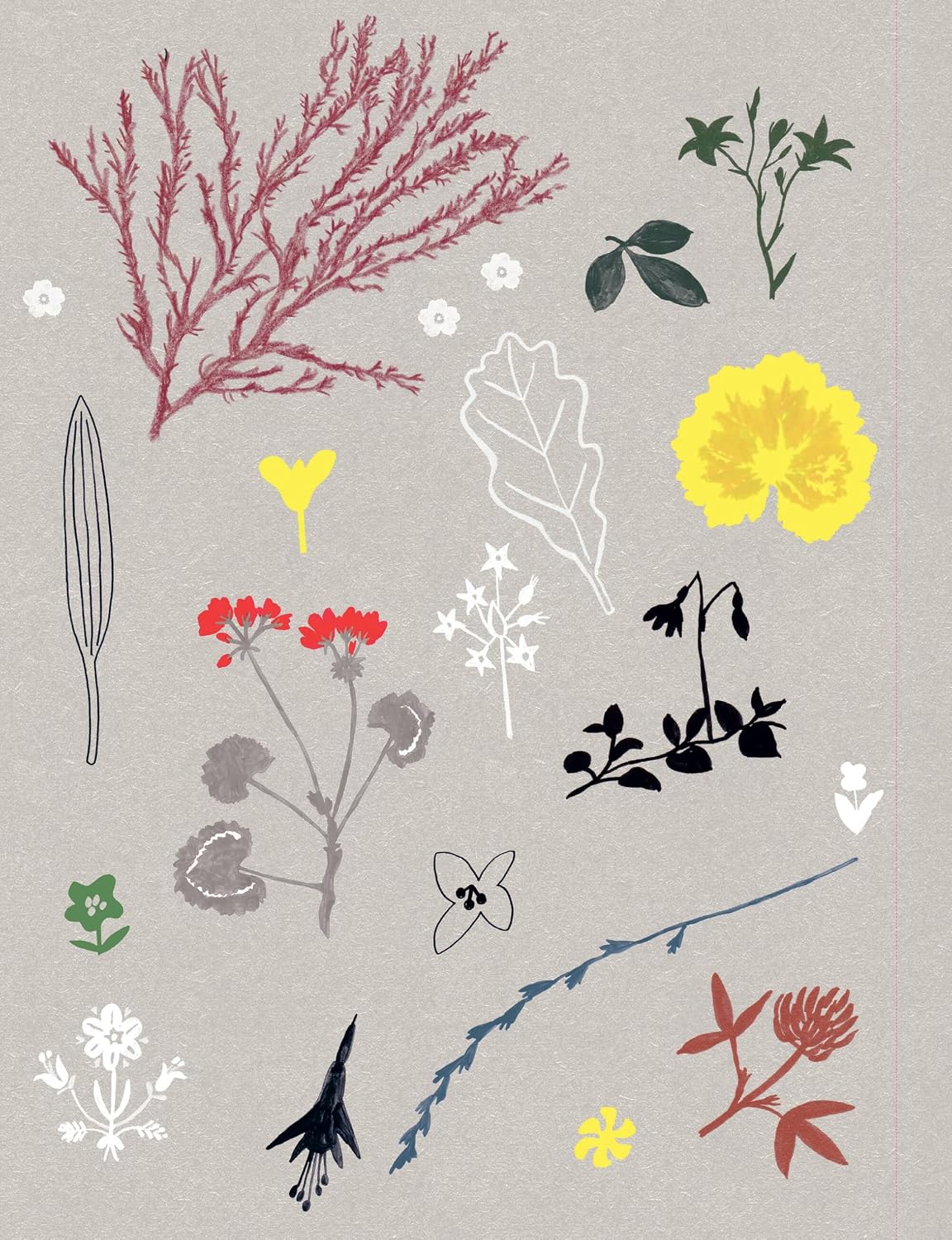 Flow-Buch für Naturliebhaber – Sonderausgabe