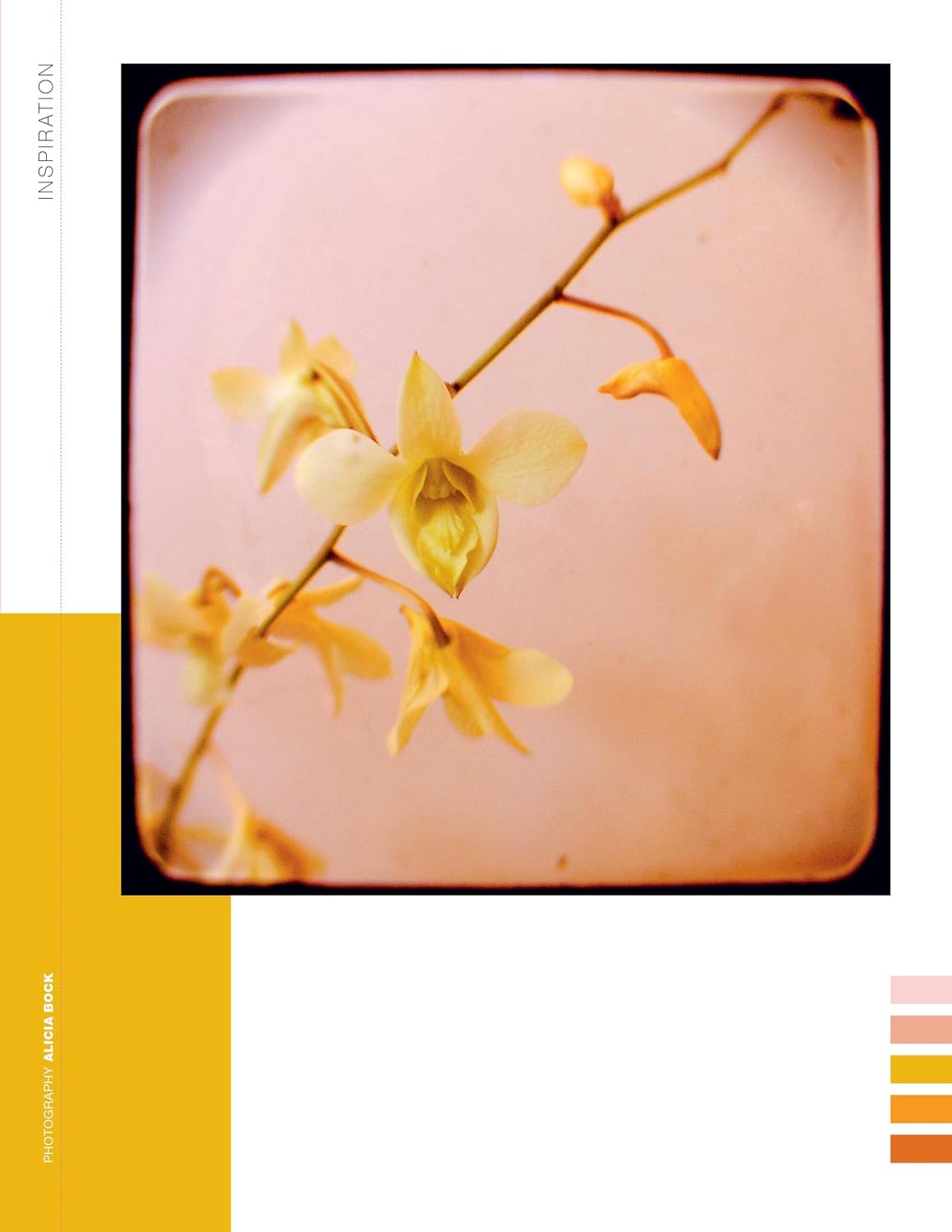 Flow-Buch für Naturliebhaber – Sonderausgabe