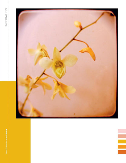 Flow-Buch für Naturliebhaber – Sonderausgabe