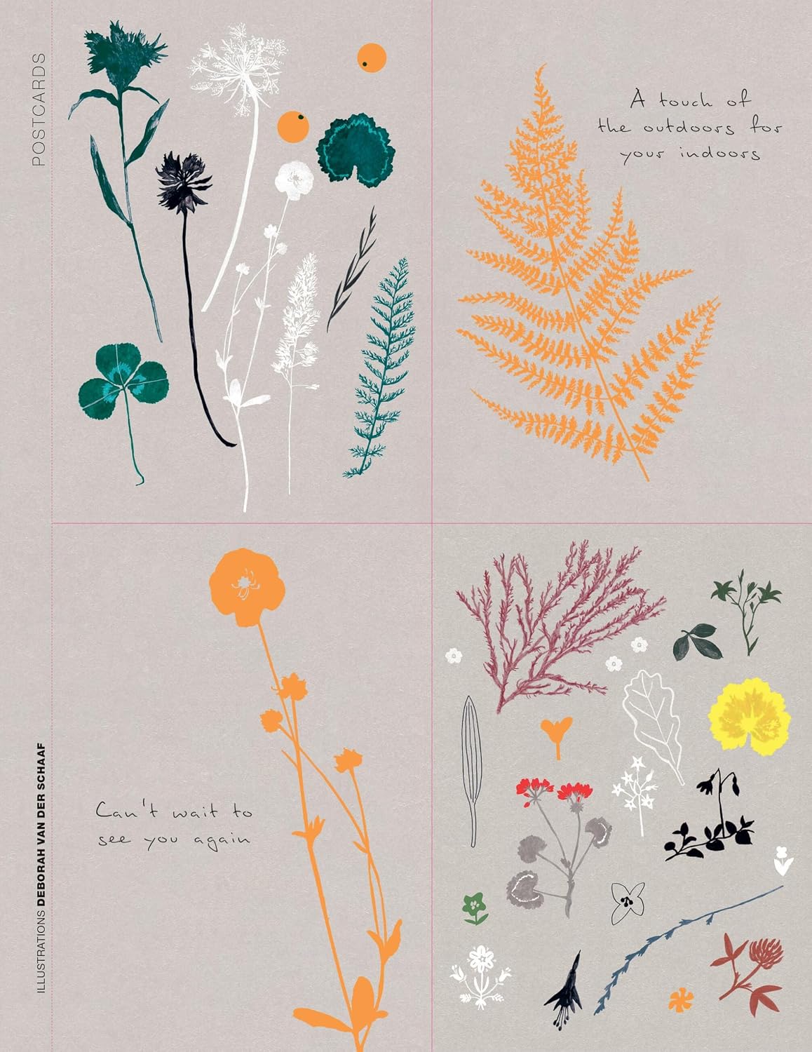 Flow-Buch für Naturliebhaber – Sonderausgabe