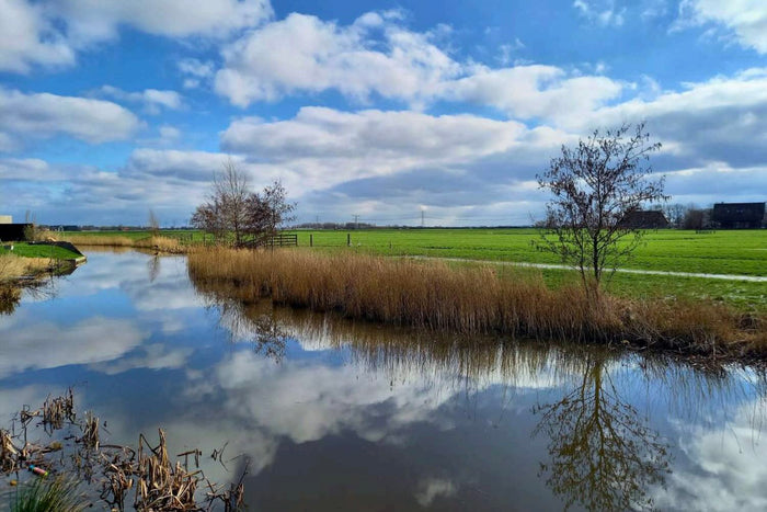 Wasser mit Spiegelung von Himmel und Landschaft als Collage-Bild mit der Bedeutung Ruhe, Spiegelung und Bewusstsein