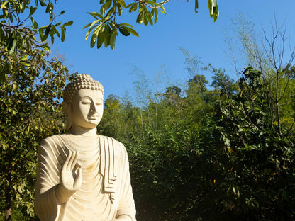 Boeddhabeeld in natuur voor spirituele SoulCollage® kaarten en religieuze collages