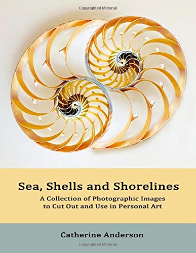 Sea, Shells and Shorelines (Bilderbuch)