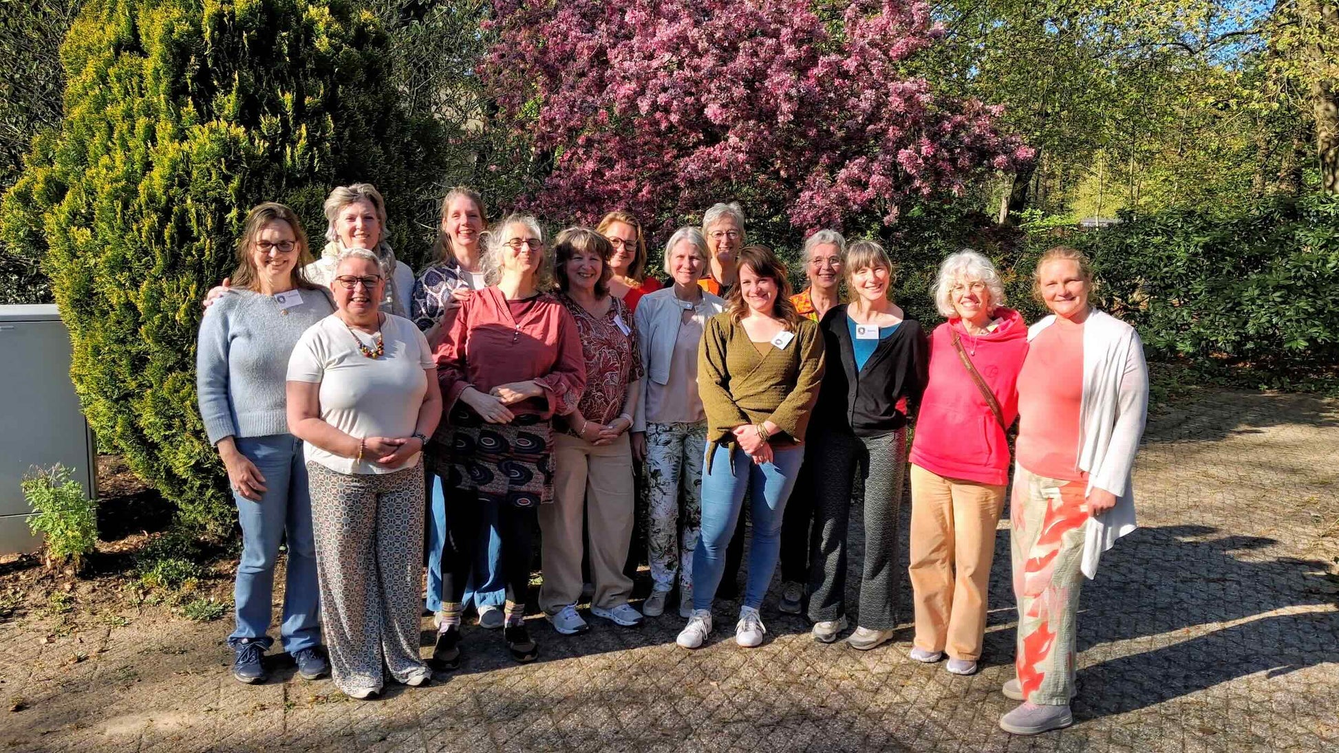 SoulCollage® facilitator training hybrid (english)