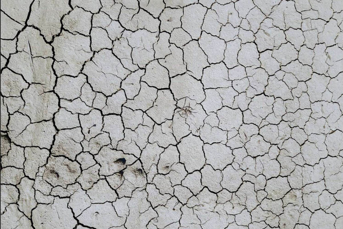 Gebrochene trockene Erde mit Rissen als Collage-Hintergrund mit Bedeutung, Struktur, Spannung und Fragmentierung